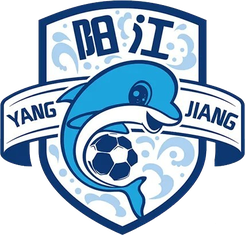 佛山队